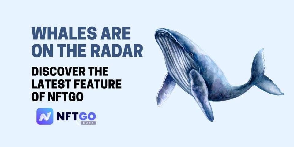 手把手教你如何用 NFTGO 新功能追踪 NFT 巨鲸? 手把手教你如何用 NFTGO 新功能追踪 NFT 巨鲸?