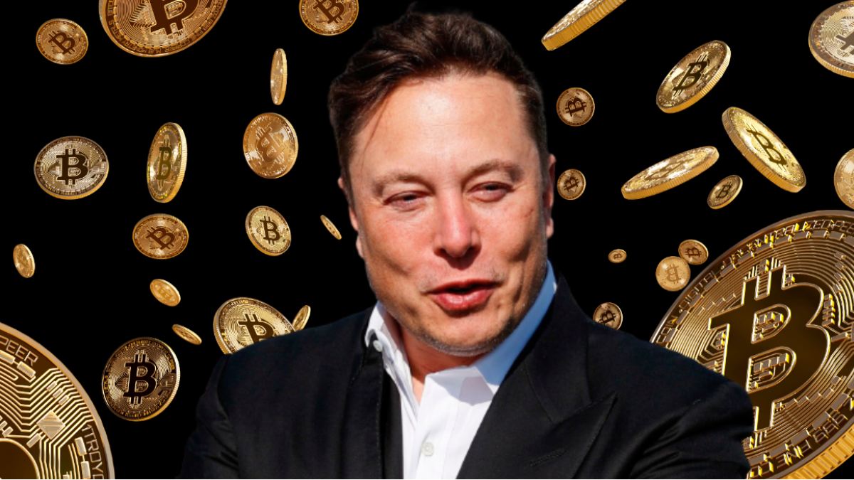 SpaceX 第二季财报优于预期！营收达 78 亿美元，比特币帐面亏损 5.4 亿美元
