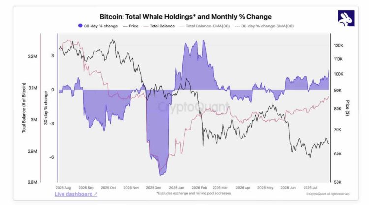熊市进入最后阶段?CryptoQuant:比特币、以太币、 XRP 巨鲸持续吸筹 熊市进入最后阶段?CryptoQuant:比特币、以太币、 XRP 巨鲸持续吸筹