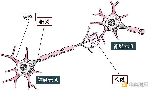 SignalPlus:浅谈深度神经网络 SignalPlus:浅谈深度神经网络