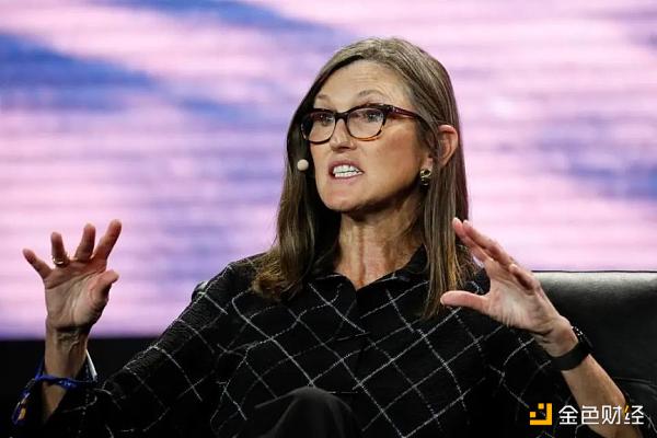 Cathie Wood 最新专访:改变华尔街的投资者正在押注比特币和人工智能 Cathie Wood 最新专访:改变华尔街的投资者正在押注比特币和人工智能