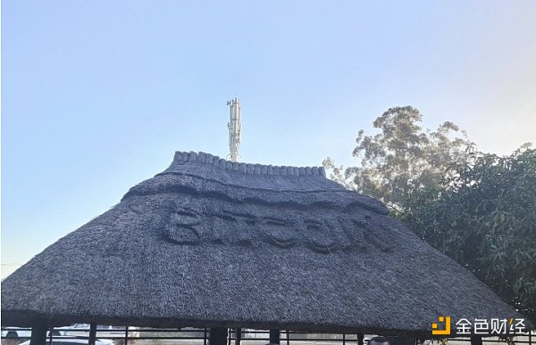 津巴布韦：使用 BTC 购买汽车  寄钱给家人