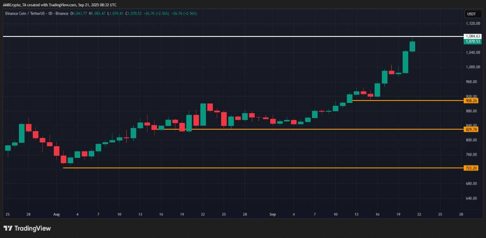 影响 BNB 价格预测 的关键指标:解读创纪录的未平仓合约