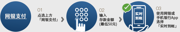 网银入款教程,返利0.5% 网银入款教程,返利0.5%